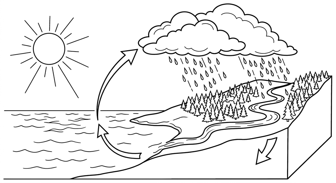 Ein Kreisschema des Wasserkreislaufs: Eine Sonne strahlt auf einen See, von dessen Oberfläche eine geschwungene Pfeillinie als aufsteigender Wasserdampf zu einer großen Wolke führt. Aus der Wolke fallen Regentropfen auf einen bewaldeten Hügel. Vom Hügel läuft ein Fluss zurück in den See, und an einer Stelle im Boden ist ein Pfeil zu sehen, der zeigt, wie Wasser im Erdboden versickert.